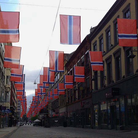 Utforsking av Norges flagg