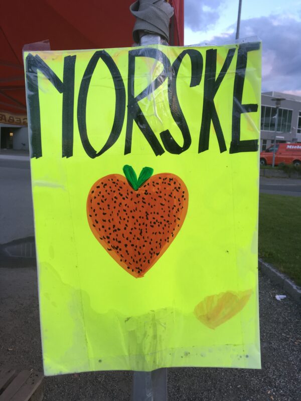 Nyplukket 🍓 🍓 🍓 🍓 🍓 🍓 (T-shirt) - Image 11