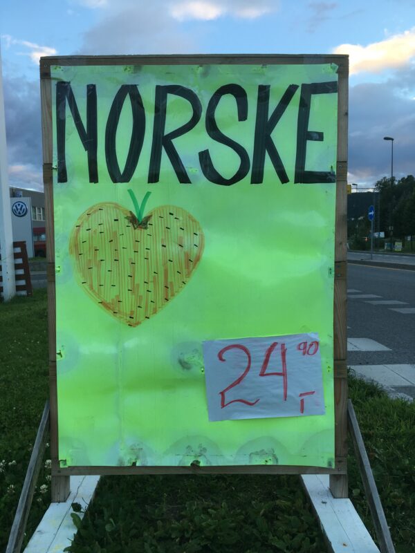 Nyplukket 🍓 🍓 🍓 🍓 🍓 🍓 (T-shirt) - Image 10