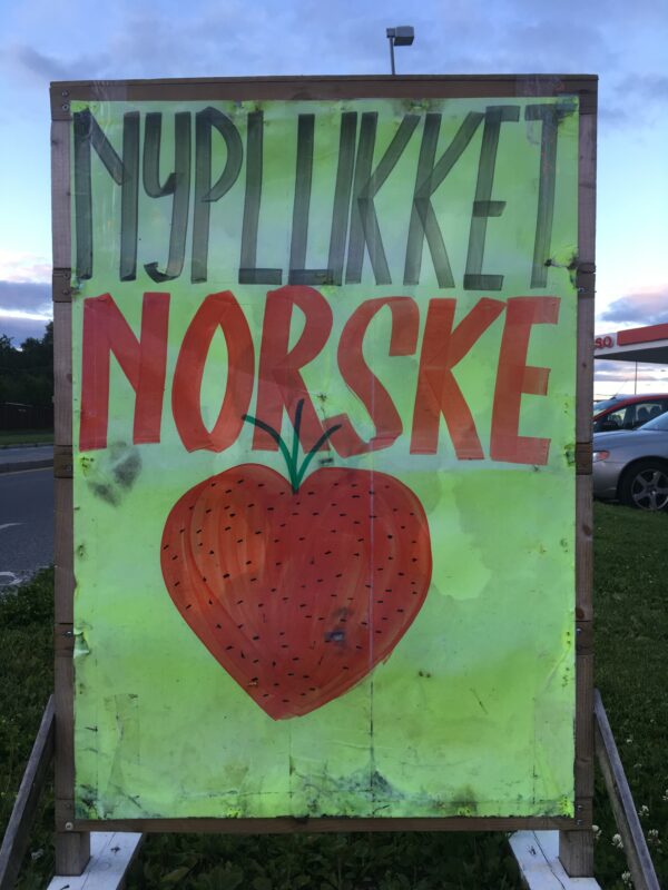 Nyplukket 🍓 🍓 🍓 🍓 🍓 🍓 (T-shirt) - Image 9