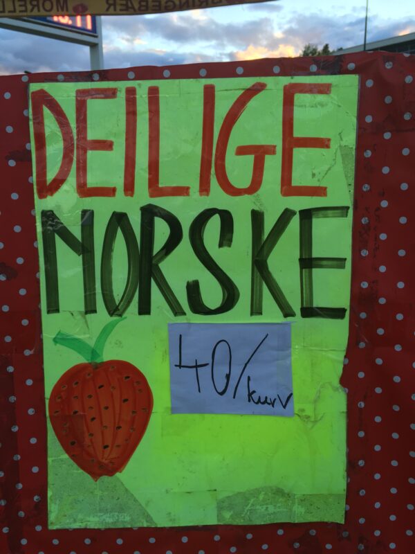 Nyplukket 🍓 🍓 🍓 🍓 🍓 🍓 (T-shirt) - Image 4