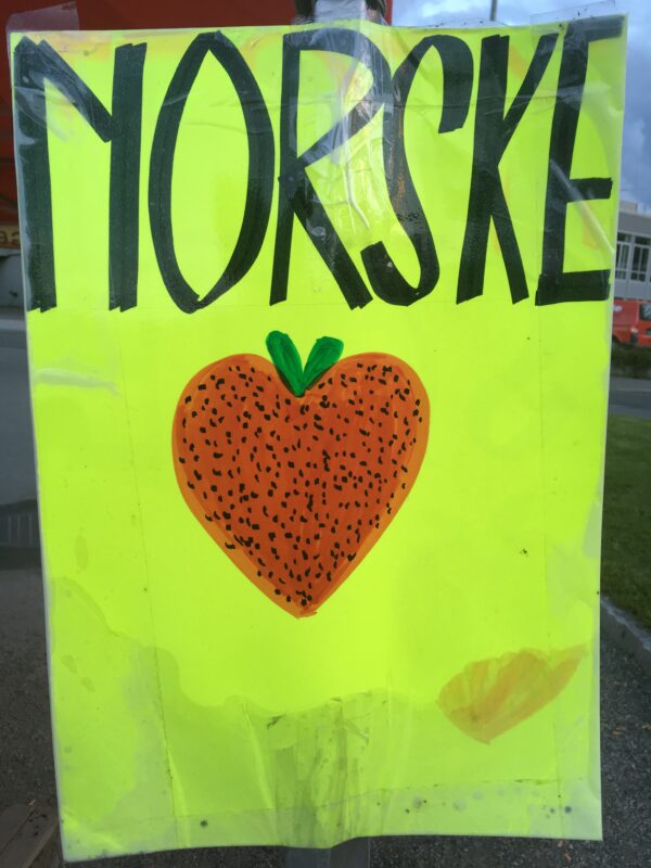 Nyplukket 🍓 🍓 🍓 🍓 🍓 🍓 (T-shirt) - Image 2