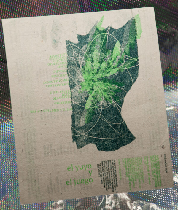 el yuyo y el juego - Image 11