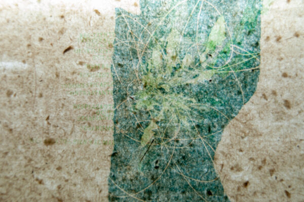 el yuyo y el juego - Image 15